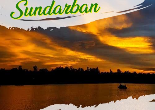 Travel to Sundarban